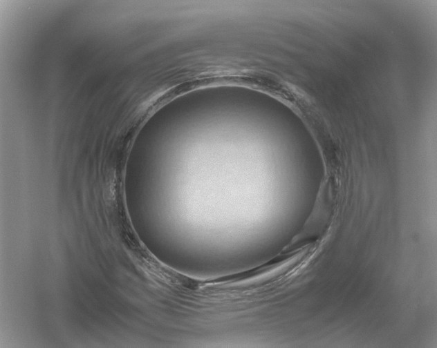 X0000061111161200512022118