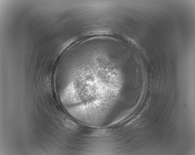 X0000061111162200512022118