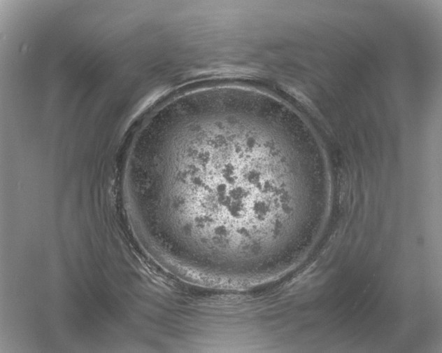 X0000061111163200512022118