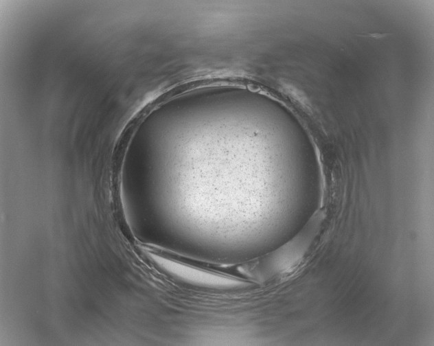 X0000061111165200512022118