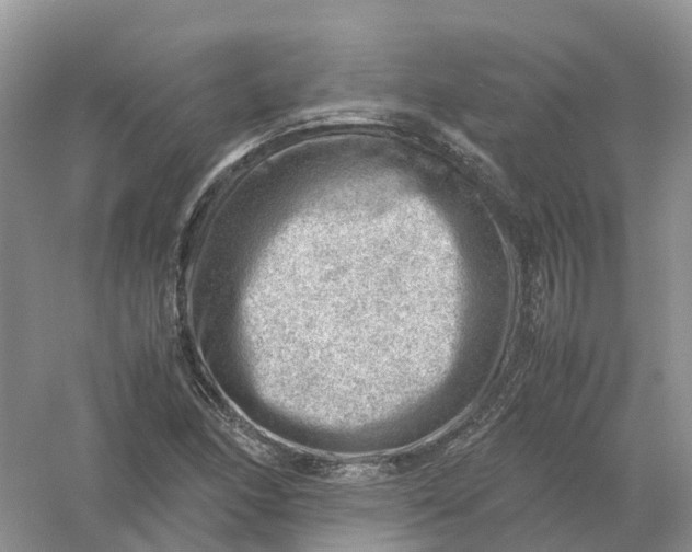 X0000061111166200512022118