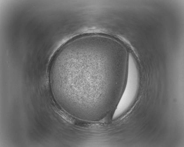 X0000061111167200512022118