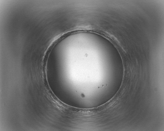 X0000061111168200512022118