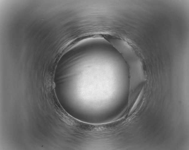 X0000061111169200512022118