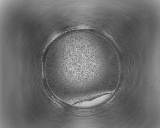 X0000061111171200512022117