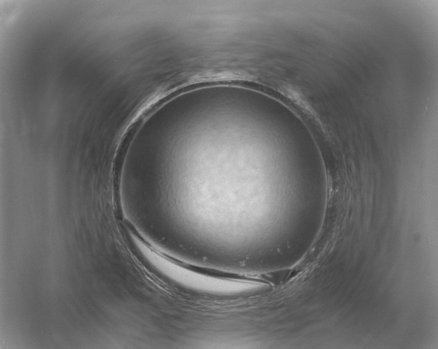 X0000061111173200512022117