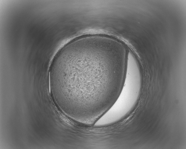 X0000061111175200512022117