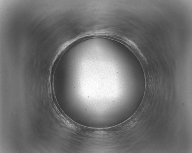 X0000061111176200512022117