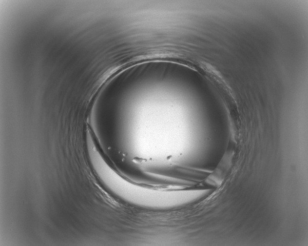 X0000061111177200512022117