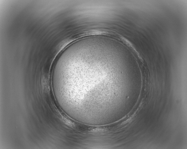 X0000061111178200512022117