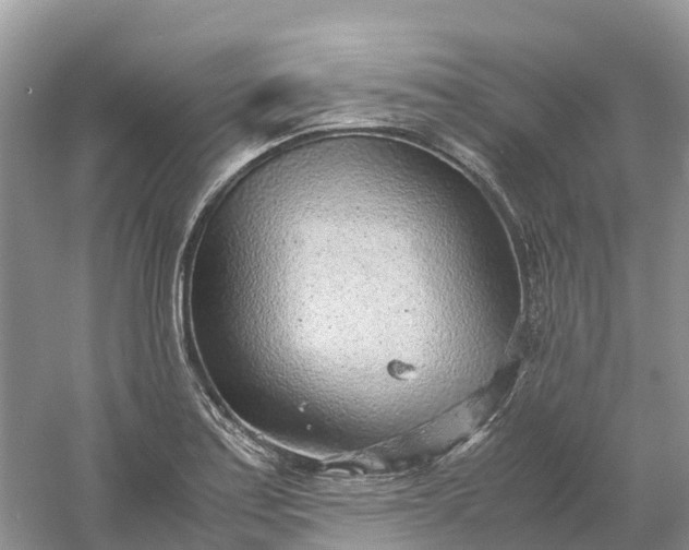 X0000061111179200512022117