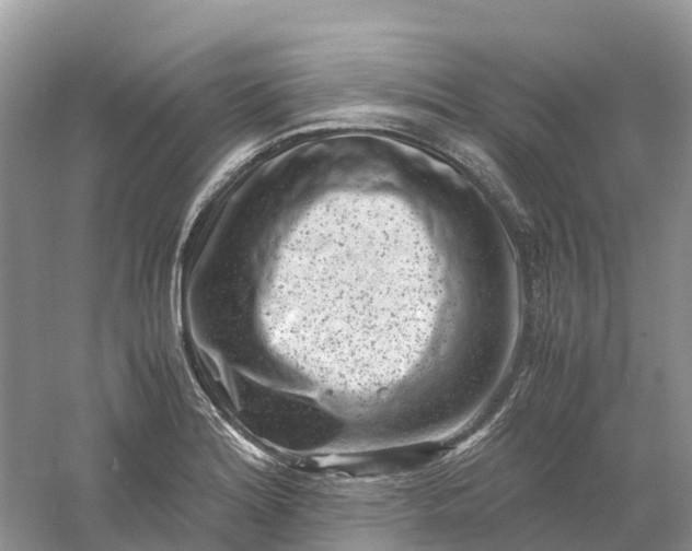 X0000061111180200512022117