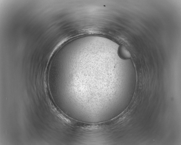 X0000061111182200512022117