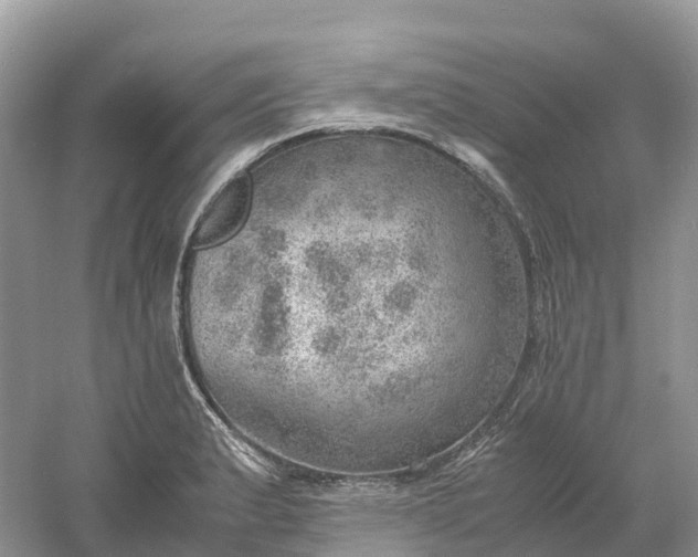 X0000061111183200512022117