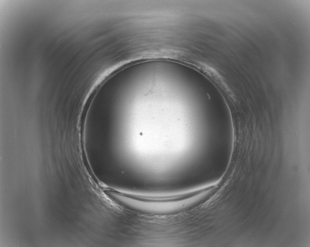 X0000061111184200512022117