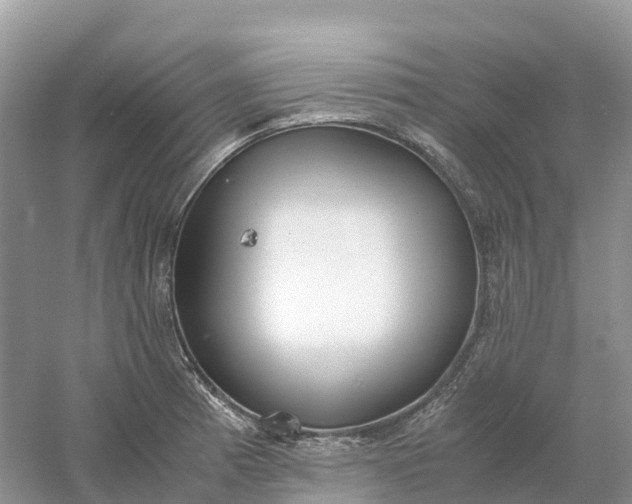 X0000061111185200512022117