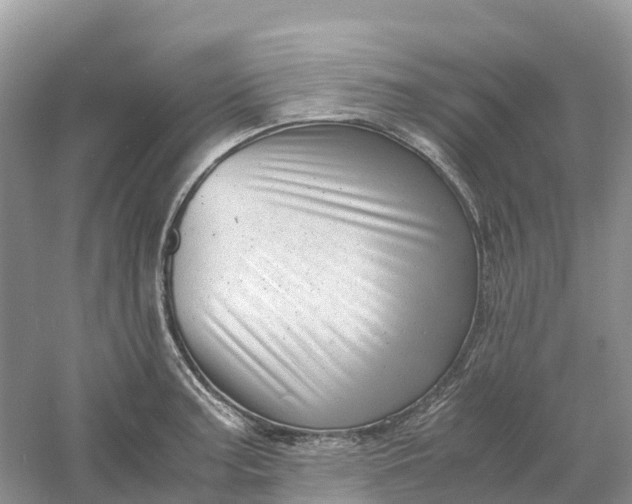 X0000061111187200512022117