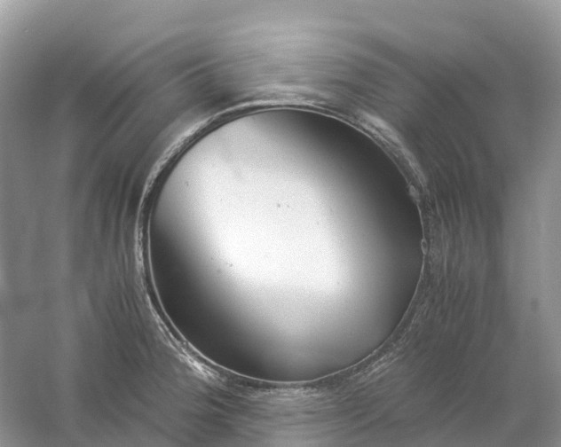 X0000061111188200512022117