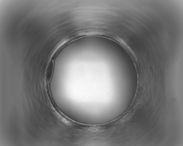 X0000061111189200512022117