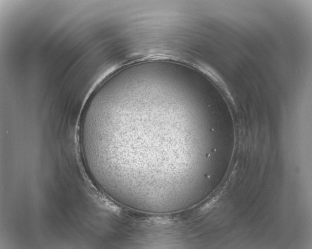 X0000061111190200512022117