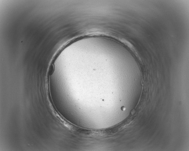 X0000061111191200512022117