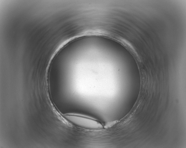 X0000061111192200512022117