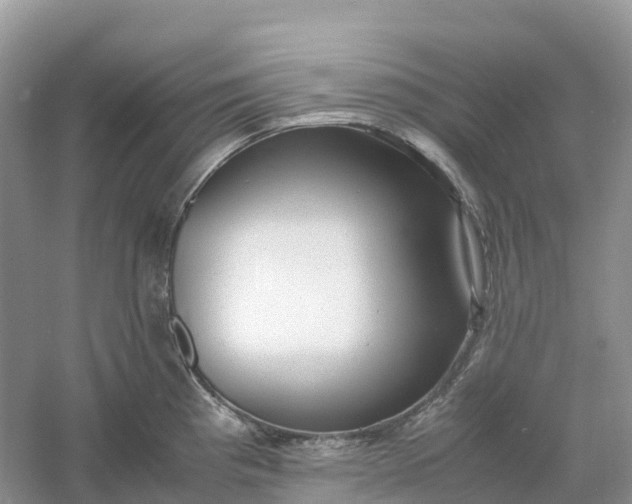 X0000061111193200512022117