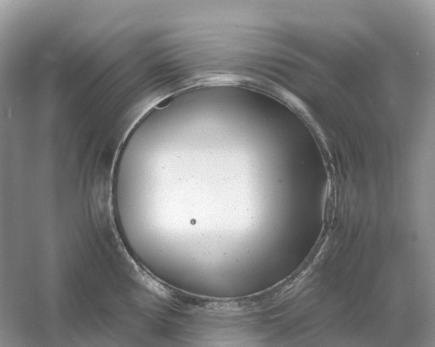 X0000061111194200512022117