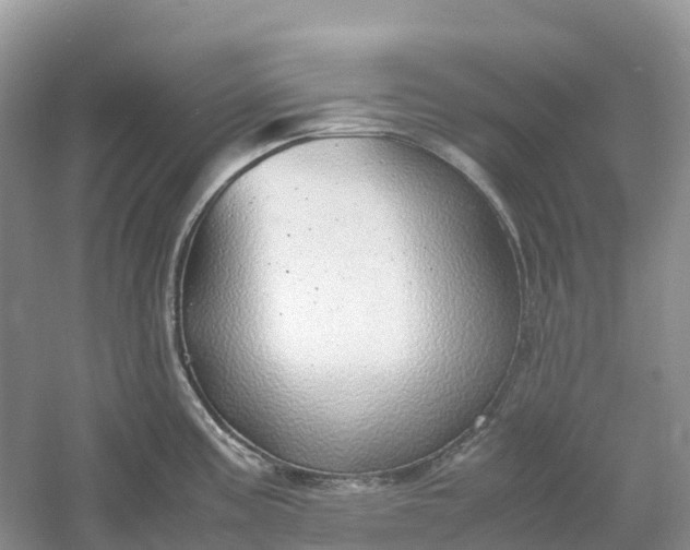 X0000061111195200512022117