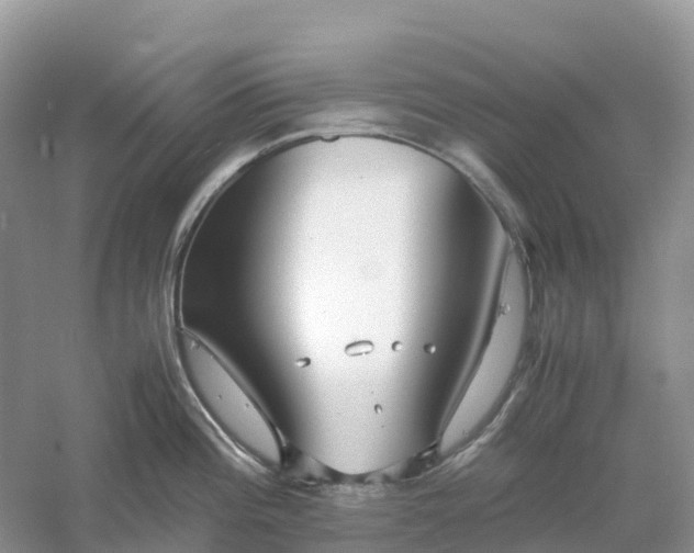 X0000061111196200512022117