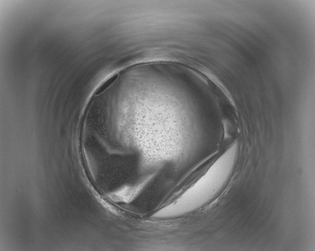 X0000061111197200512022117