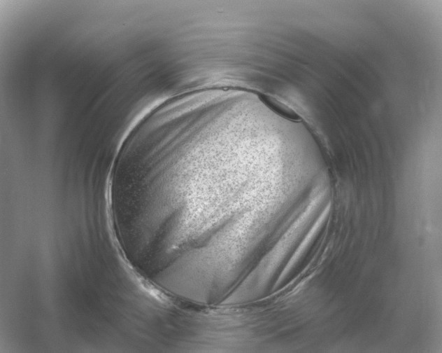 X0000061111198200512022117