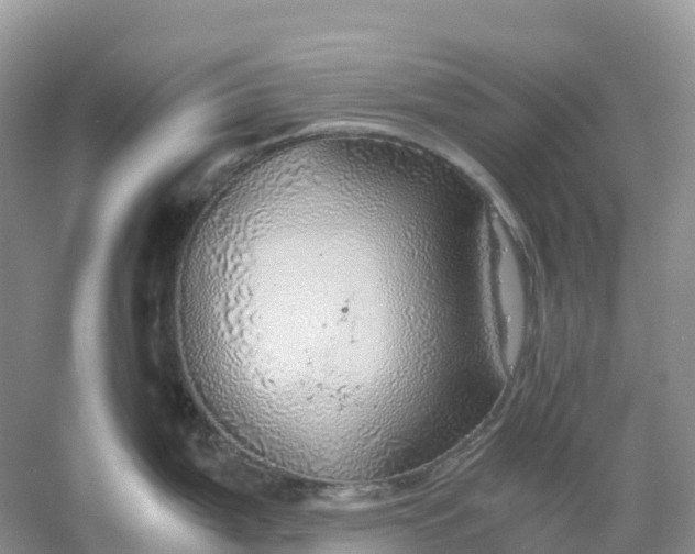 X0000061111199200512022117