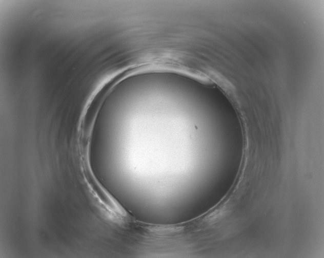 X0000061111200200512022117