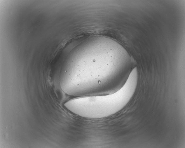 X0000061111202200512022116