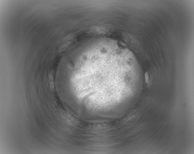 X0000061111203200512022116