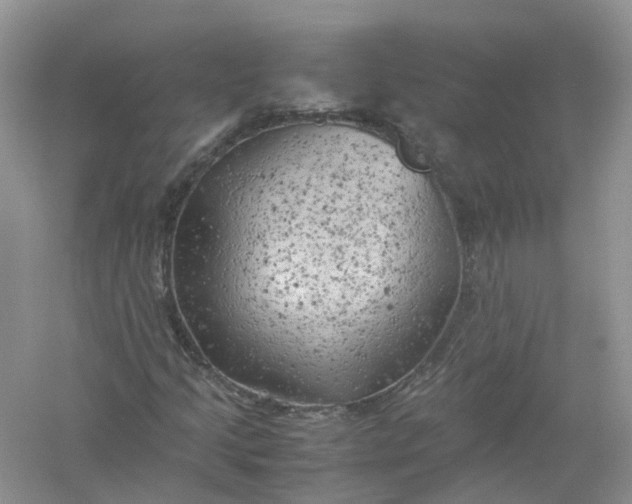 X0000061111205200512022116