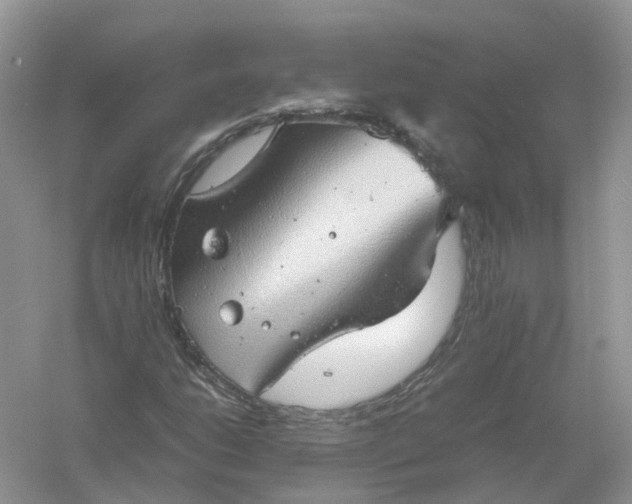 X0000061111206200512022116