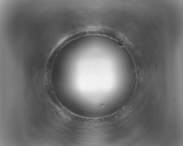 X0000061111208200512022116