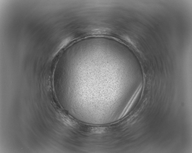 X0000061111211200512022116