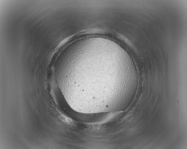 X0000061111213200512022116