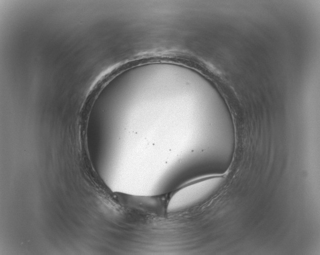 X0000061111214200512022116