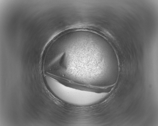 X0000061111216200512022116