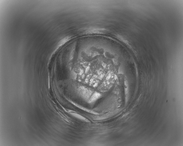 X0000061111219200512022116