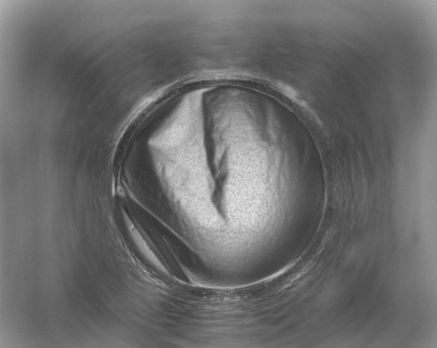 X0000061111221200512022116