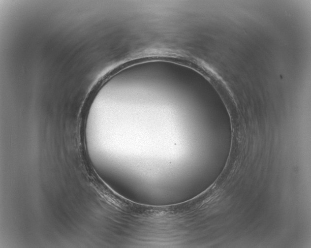 X0000061111222200512022117