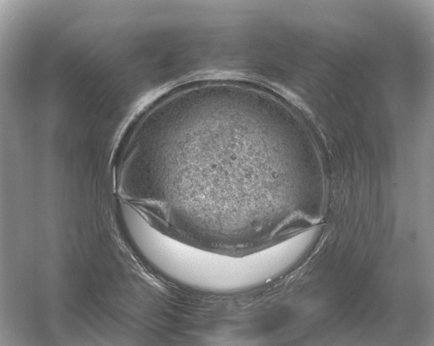 X0000061111223200512022117