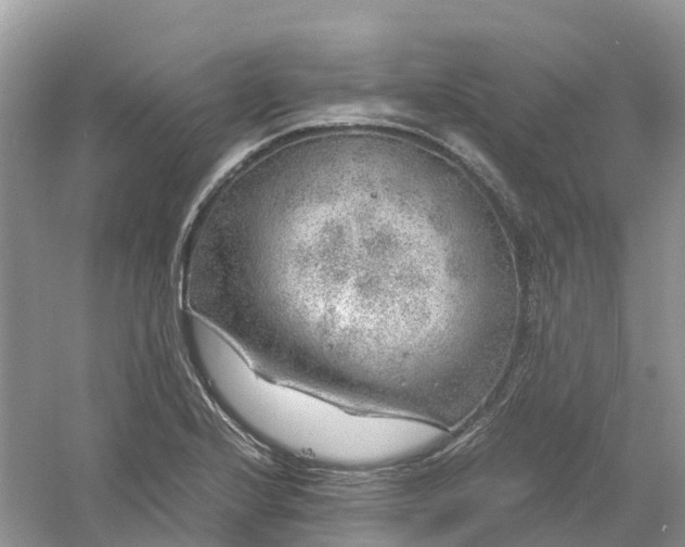 X0000061111224200512022117