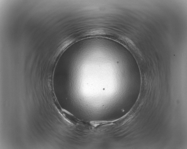 X0000061111225200512022117