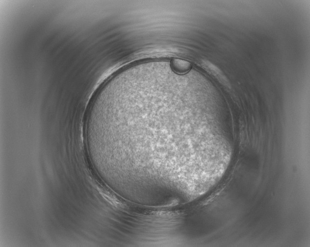 X0000061111226200512022117